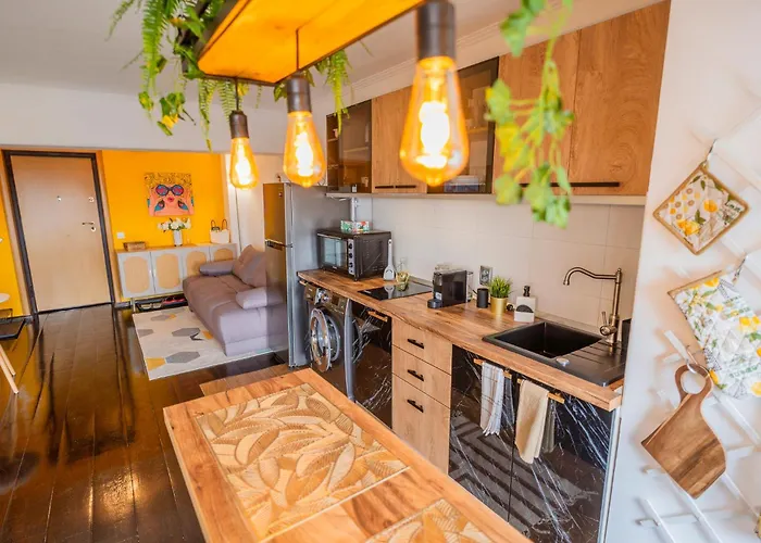 Cozy Apartamento Bucareste